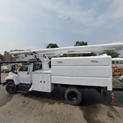 Samudaworth Tree Services