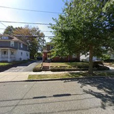 Premium tree & Landscaping service
