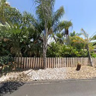 CM Precision Tree and Landscaping