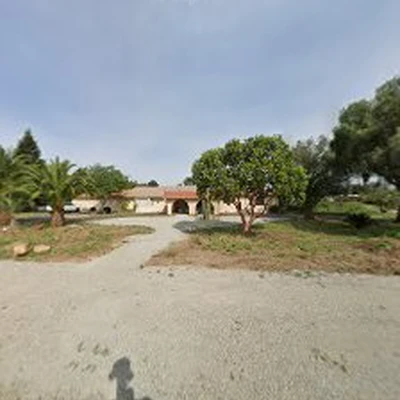 San Jose Tree Service & Landscaping