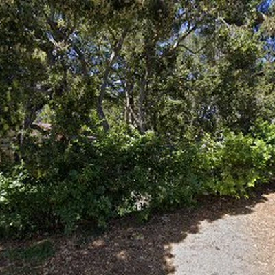 Vavuris Landscaping