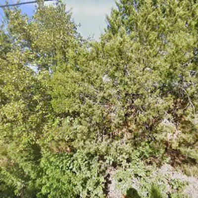 landscape with nature