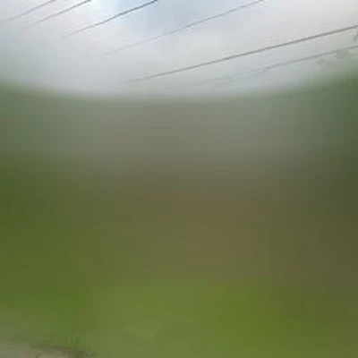 Than just Landscaping