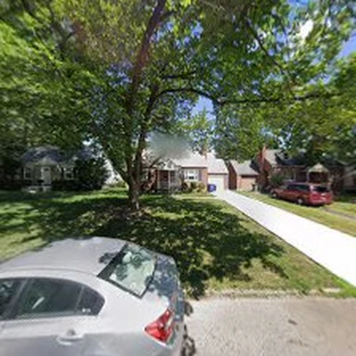 Basic Tree Care | Columbus Tree Cutting & Removal