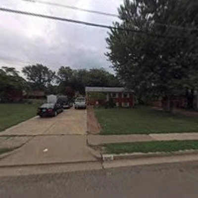 American Tree & Landscaping LLC