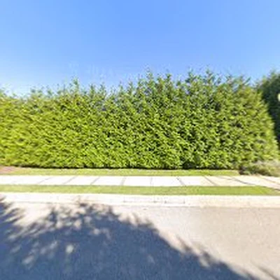 JR's Landscaping & Sons LLC