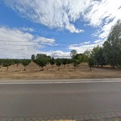Rancho Verde Landscaping LLC