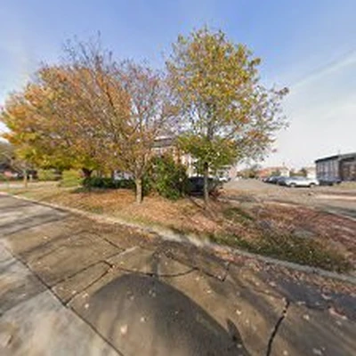 White Maple Landscaping - Farmington Hills