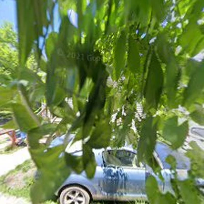 Cardona Landscaping