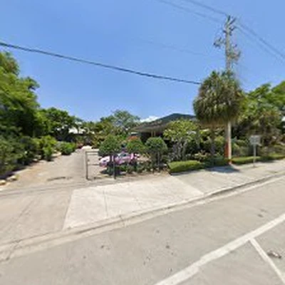 Fort Lauderdale Landscaping Company