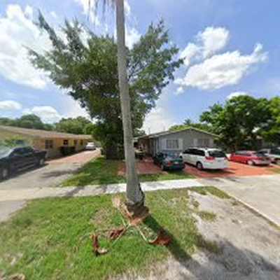 Absolute tree and landscaping