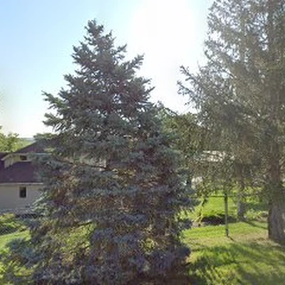 Roots Tree Service