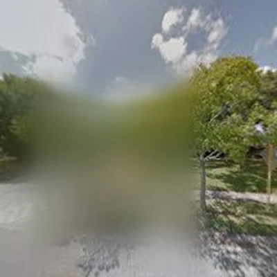 VeterLawn