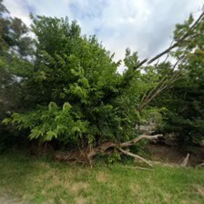 BDH Landscaping