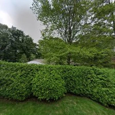 J&S Enterprises Tree Removal & Landscaping