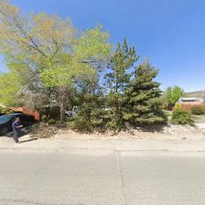 Oso Negro Landscaping