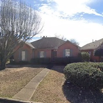 Tyler Johnston Landscaping