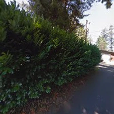 dave's landscape maintenance