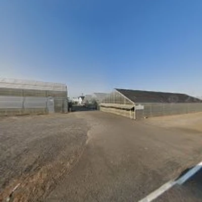 Fessler Nursery