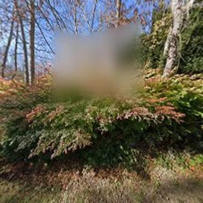 Benjamin's Lawncare LLC