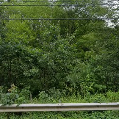 Living Earth Landscapes