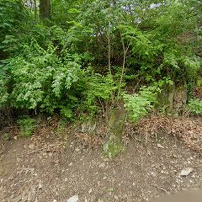Z- NGI Attic Insulation & Roofing Services Co, PA 19248