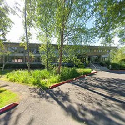 Cleaners Kingdom of Bellevue
