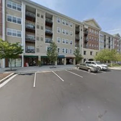 Tulip Carpet Cleaning Odenton
