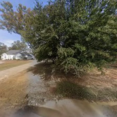 Aquatic Waves