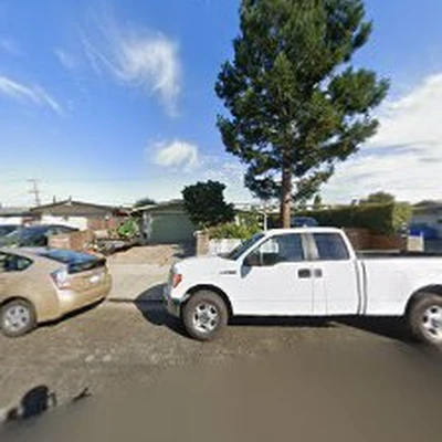 Mountain View Tree Service