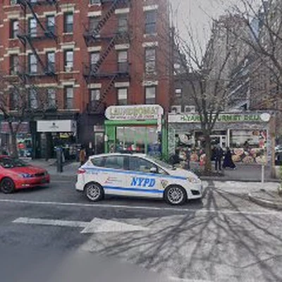 NYC Tree Cutting