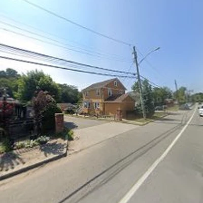North Shore Tree Service