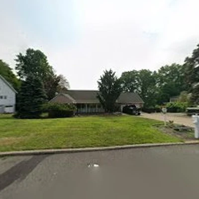 All wood tree service