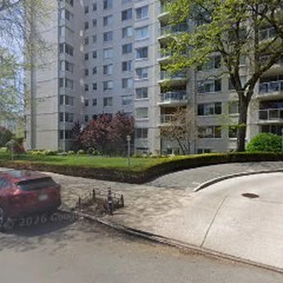 Bronx Lawn Cutting and Leaf Service