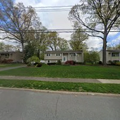 Adirondack Tree Specialists Inc