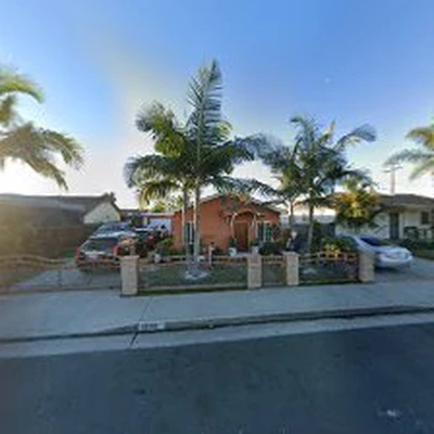 San Pedro Tree Services