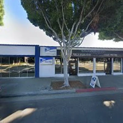 Saw Tree Service
