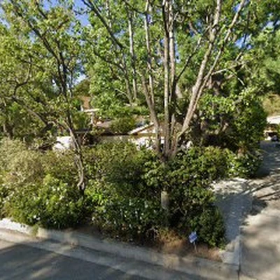 Lopez Tree Service