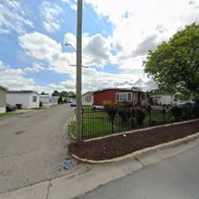 New look lawn & tree full service inc