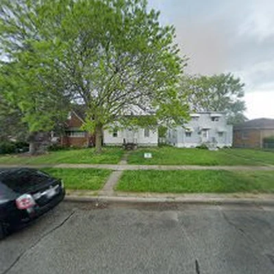 Midwest Tree Works
