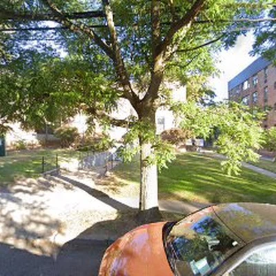 T﻿re﻿e Ser﻿vice﻿ Nassau County