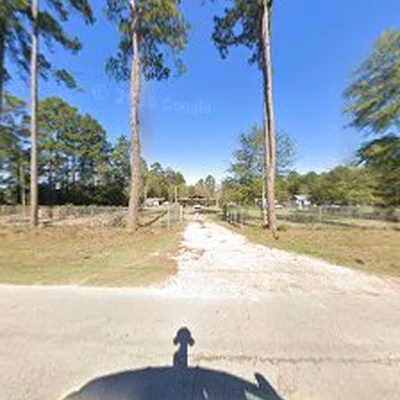 All Zone Tree Service