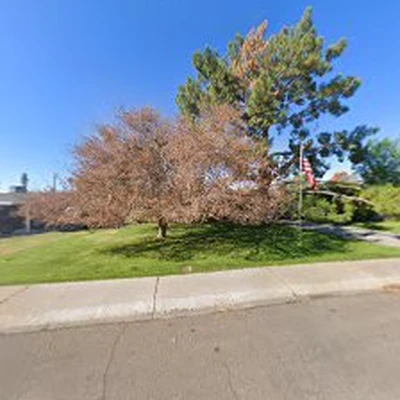 Badger Tree Service