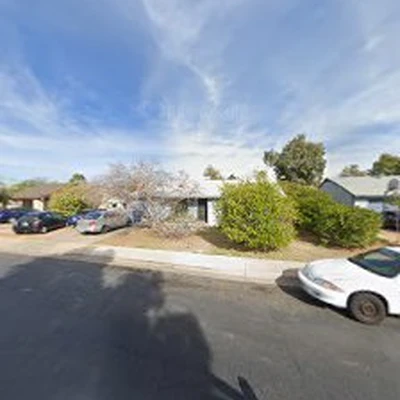 Warner's Tree Surgery