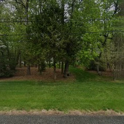 D.B. Paulson Tree Service LLC