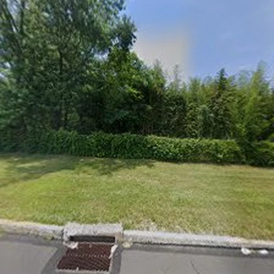 Mike's Tree Service, Inc.
