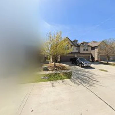 Tree Care Plano