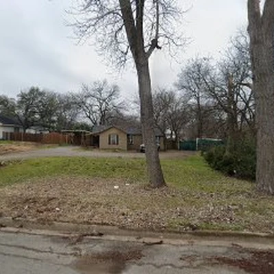 Fort Worth Arborist