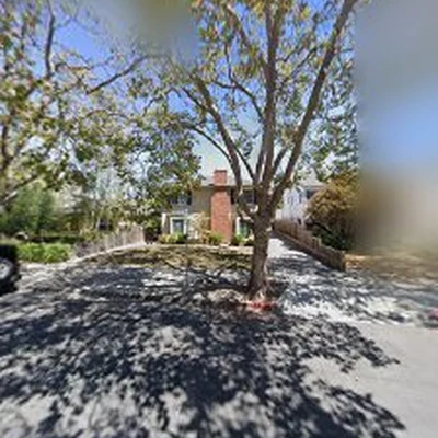 Firefighter Tree Service