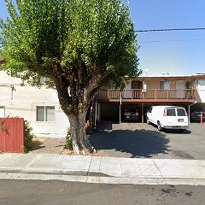 Encinal Tree Service